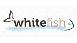 White Fish